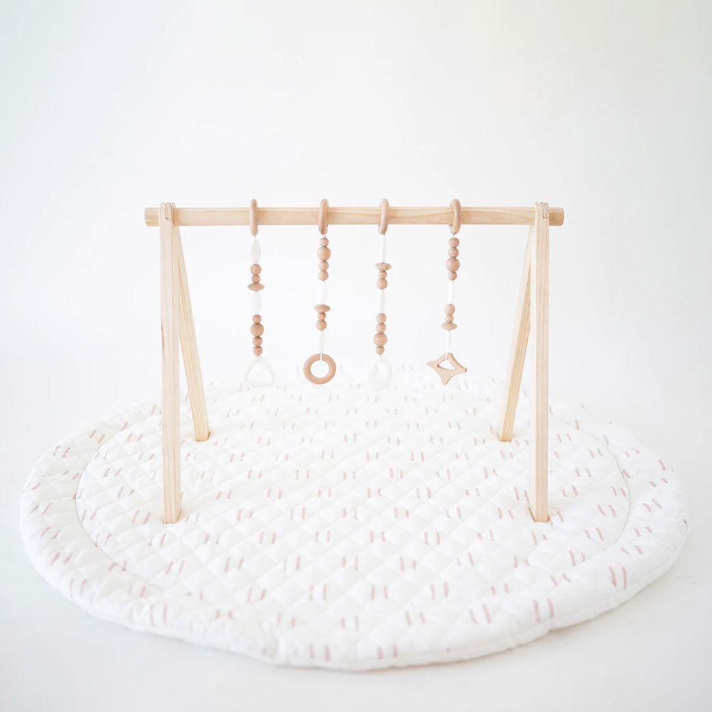 Play Gym Set
