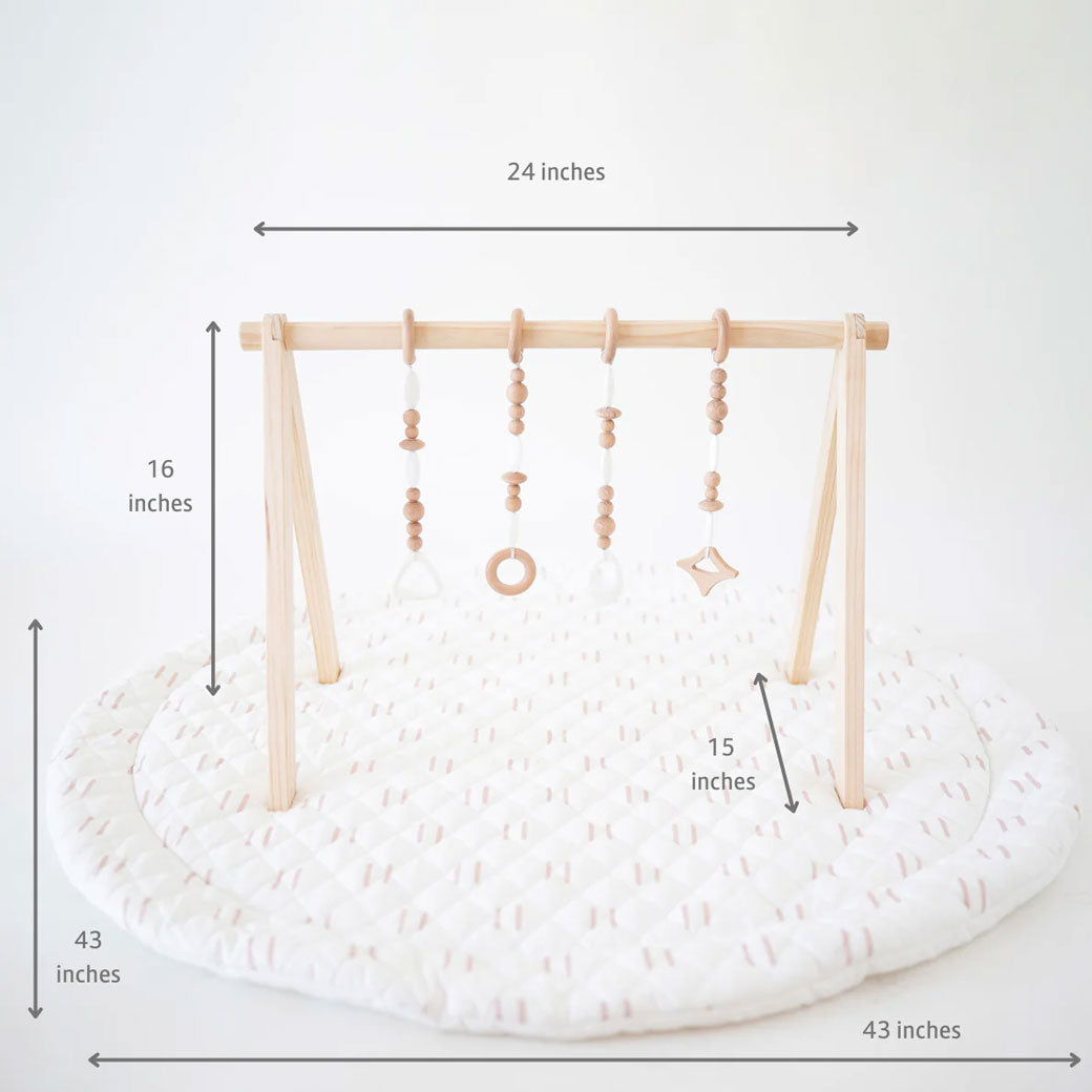 Play Gym Set