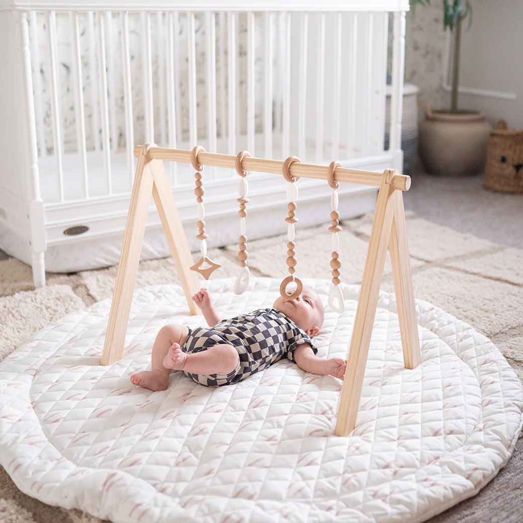Play Gym Set