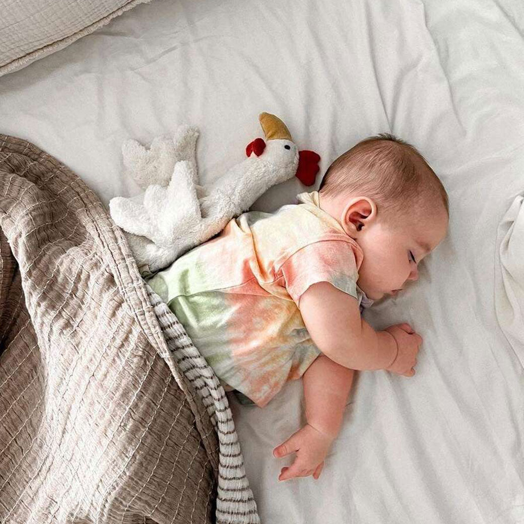 Chicken Cuddly Animal