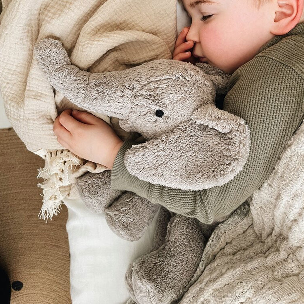 Cuddly Animal