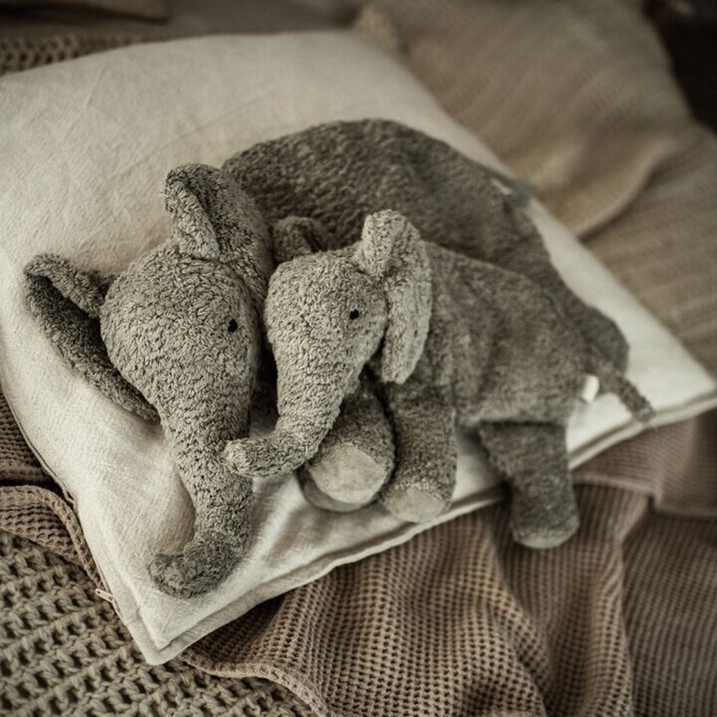 Cuddly Animal