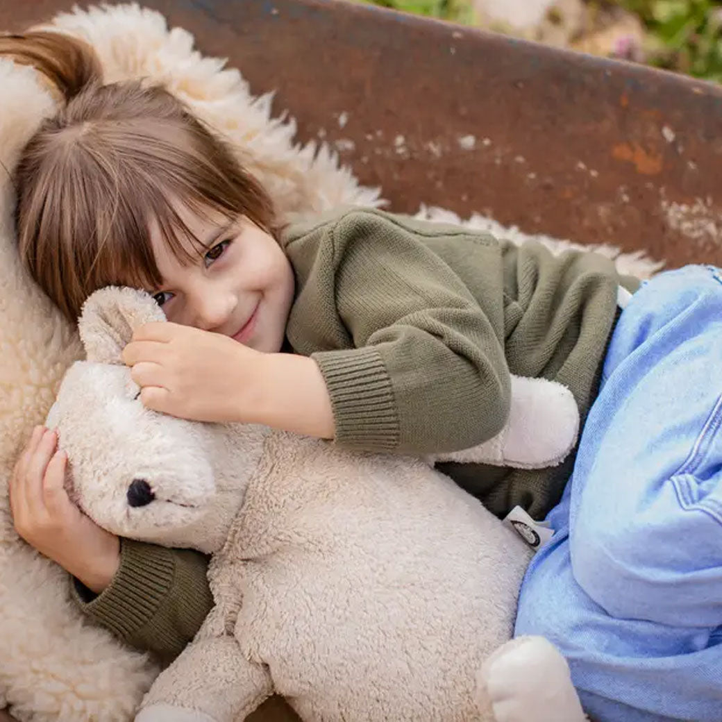 Bear Cuddly Animal