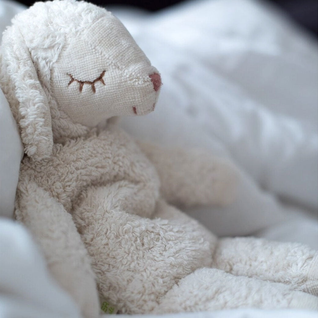 Cuddly Animal