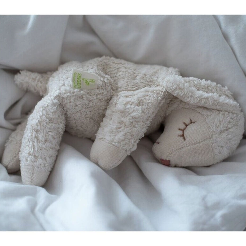 Cuddly Animal