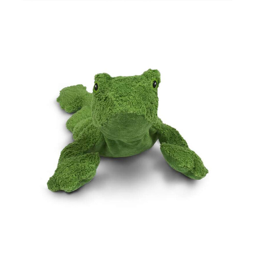 Frog Cuddly Animal