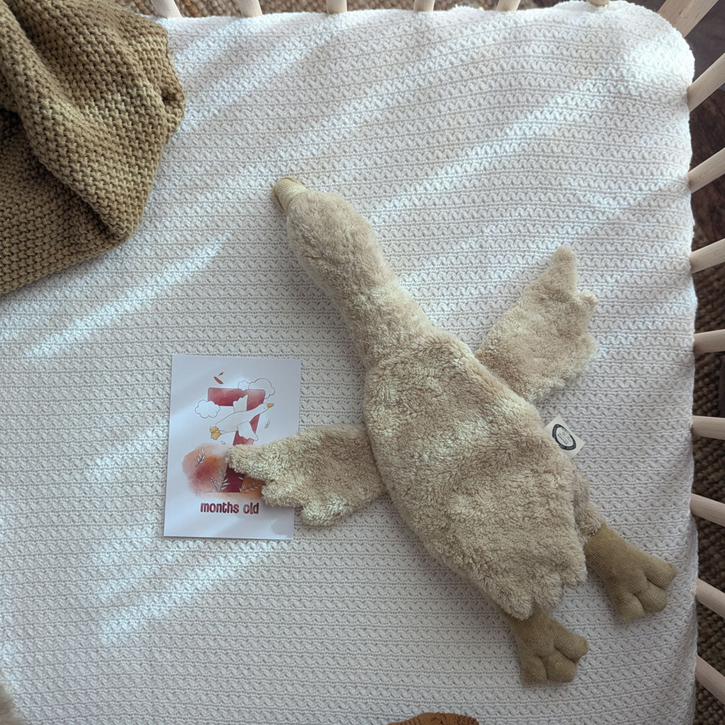 Senger Organic Goose Cuddly Animal | Modern Nursery™