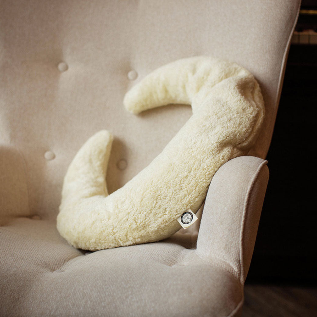 Nursing and Neck Pillow