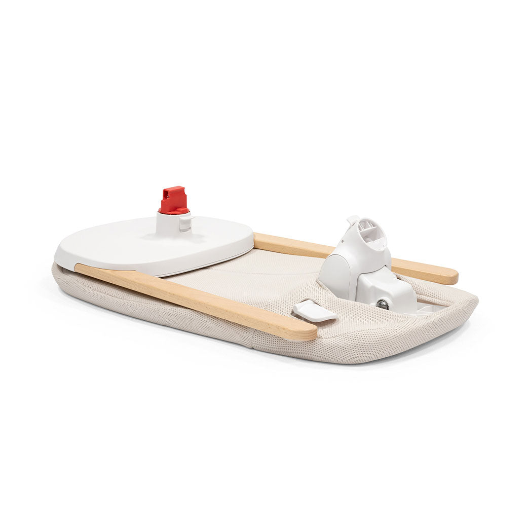 Yoga Bouncer & Swing