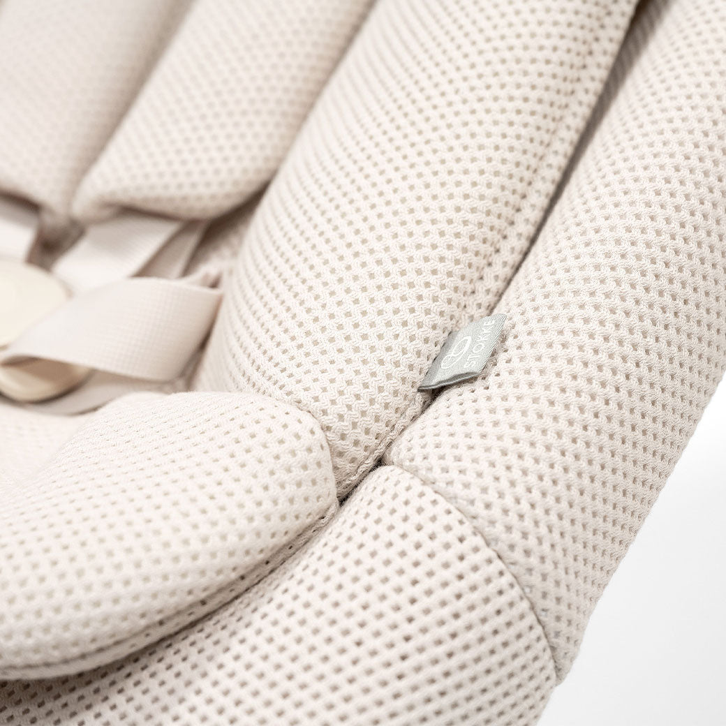 Yoga Bouncer & Swing