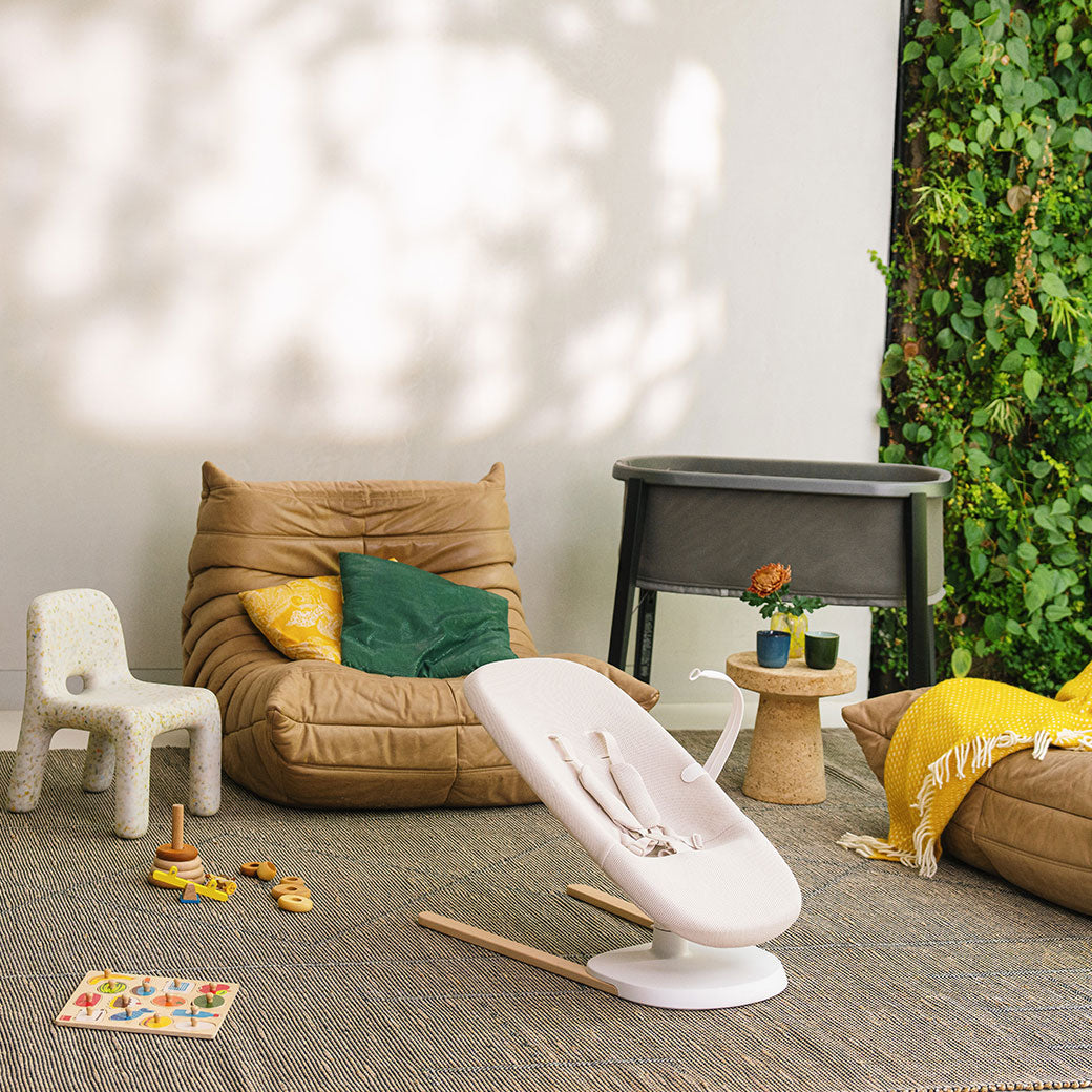 Yoga Bouncer & Swing