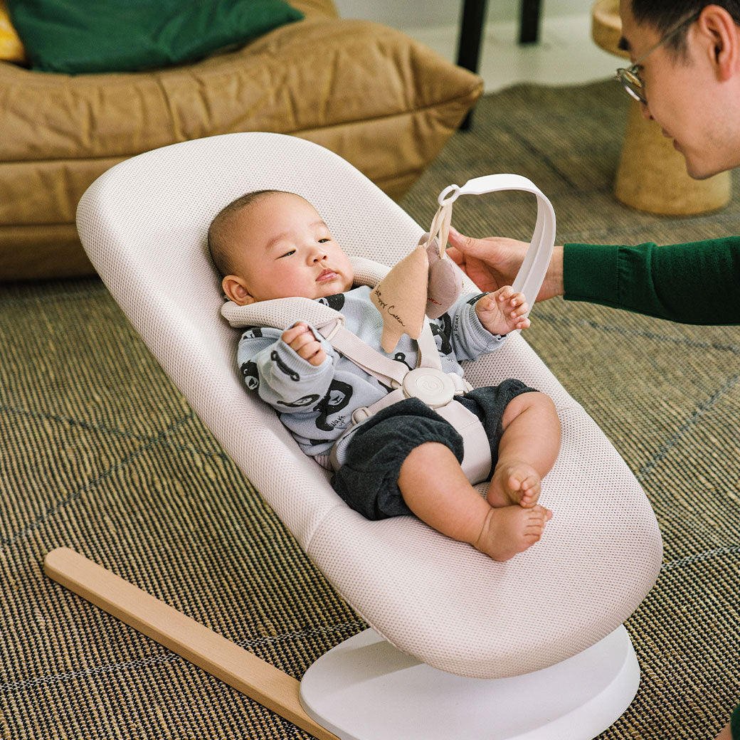 Yoga Bouncer & Swing