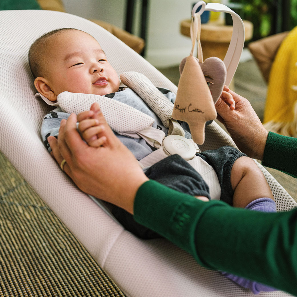 Yoga Bouncer & Swing