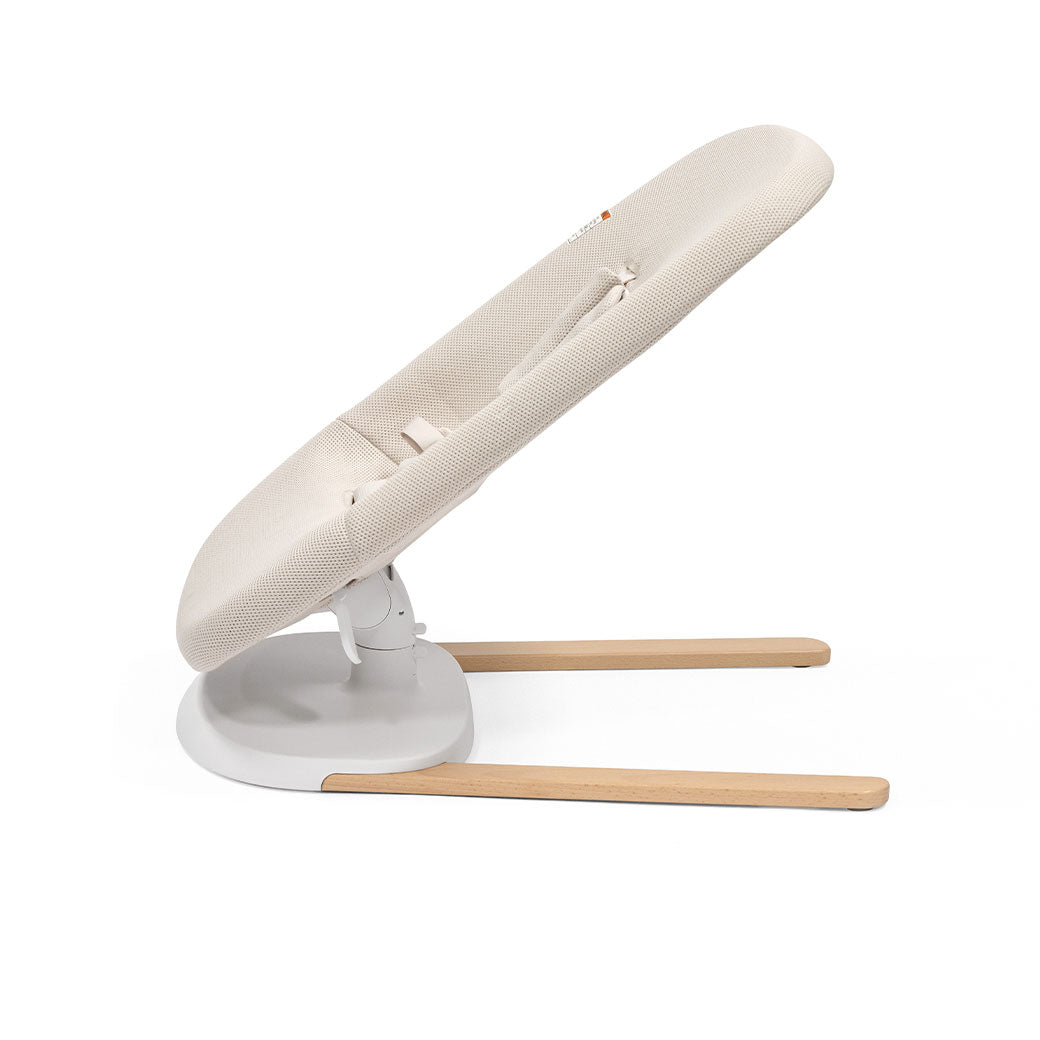 Yoga Bouncer & Swing