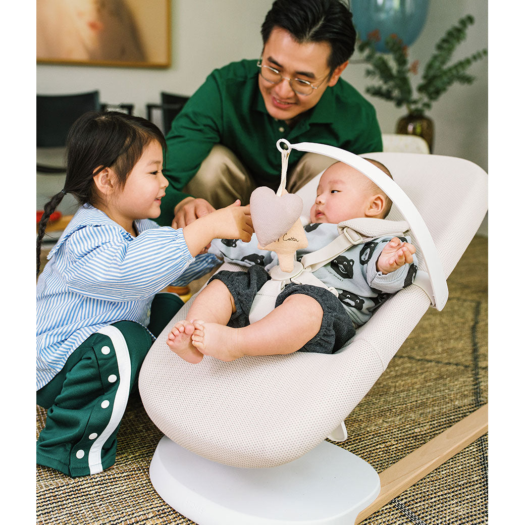 Yoga Bouncer & Swing