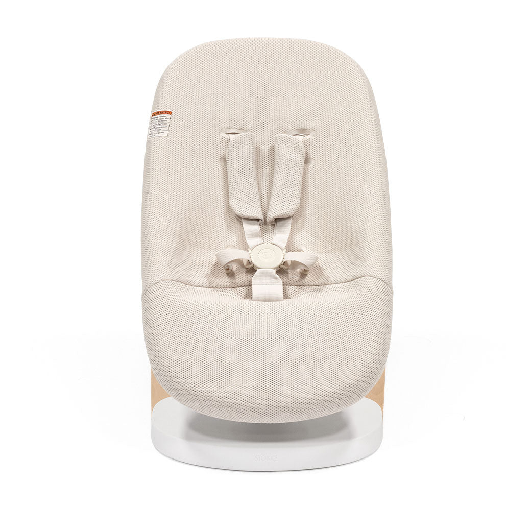 Yoga Bouncer & Swing