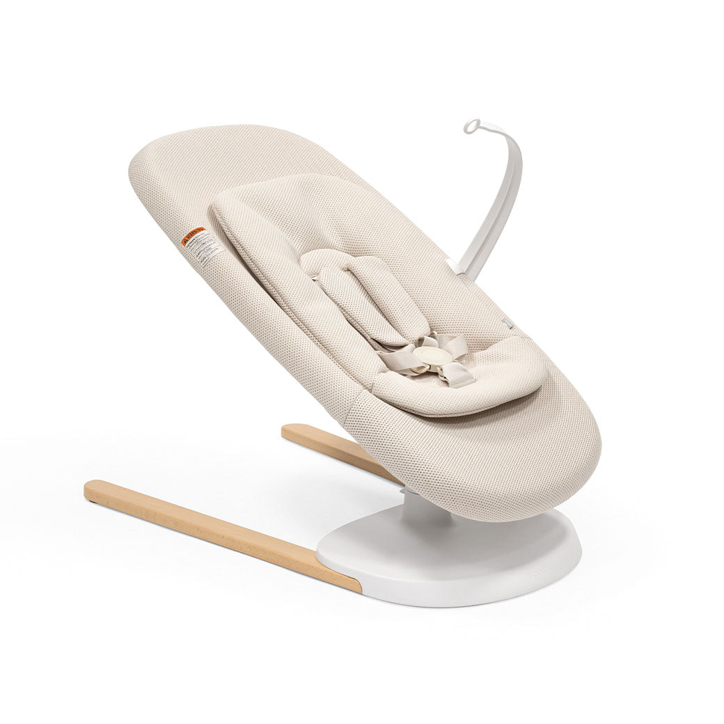 Yoga Bouncer & Swing