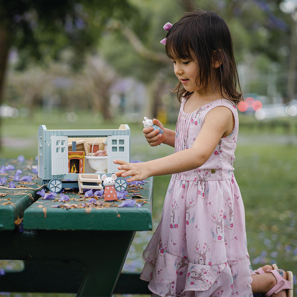 Secret Meadow Shepherds Hut