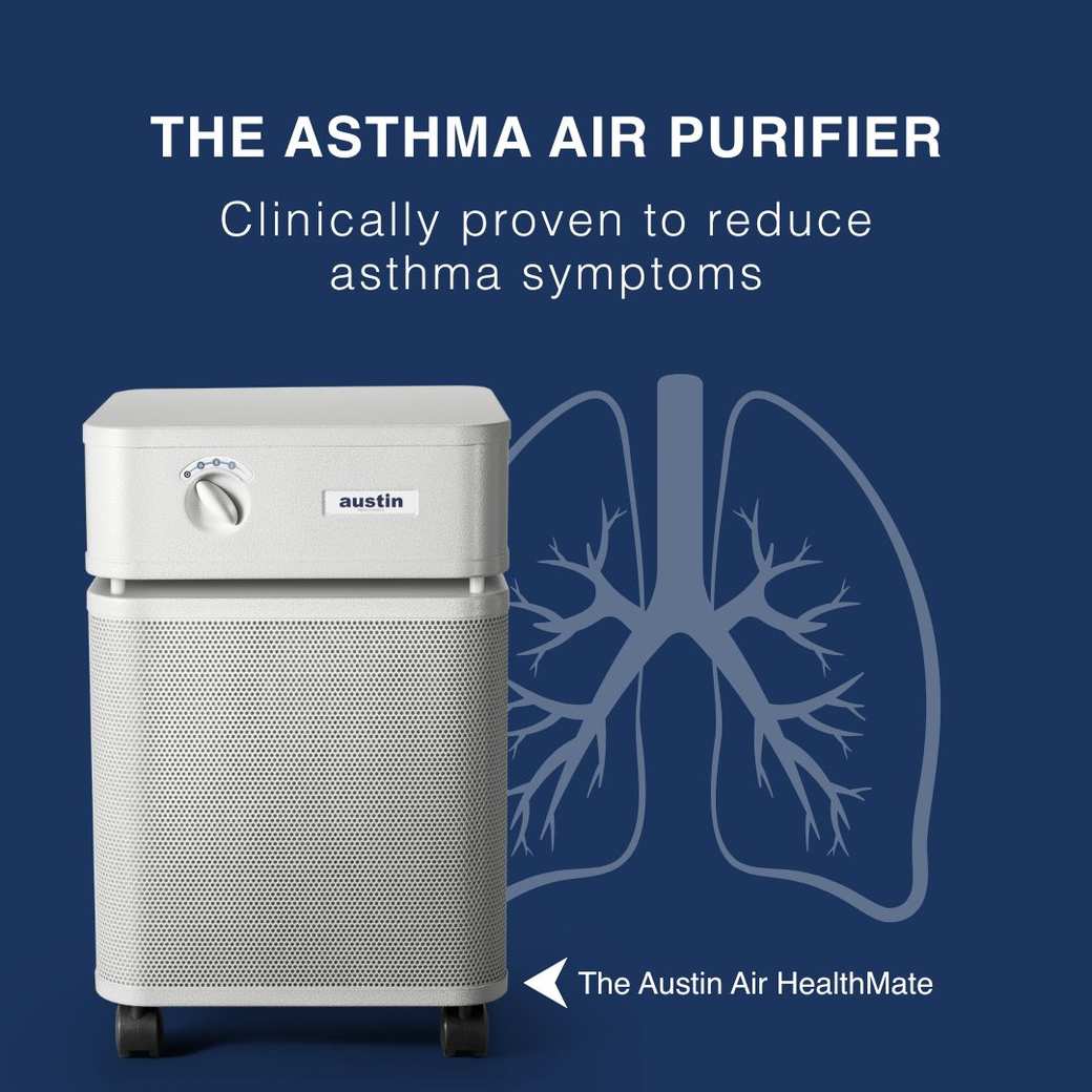 HealthMate Air Purifier