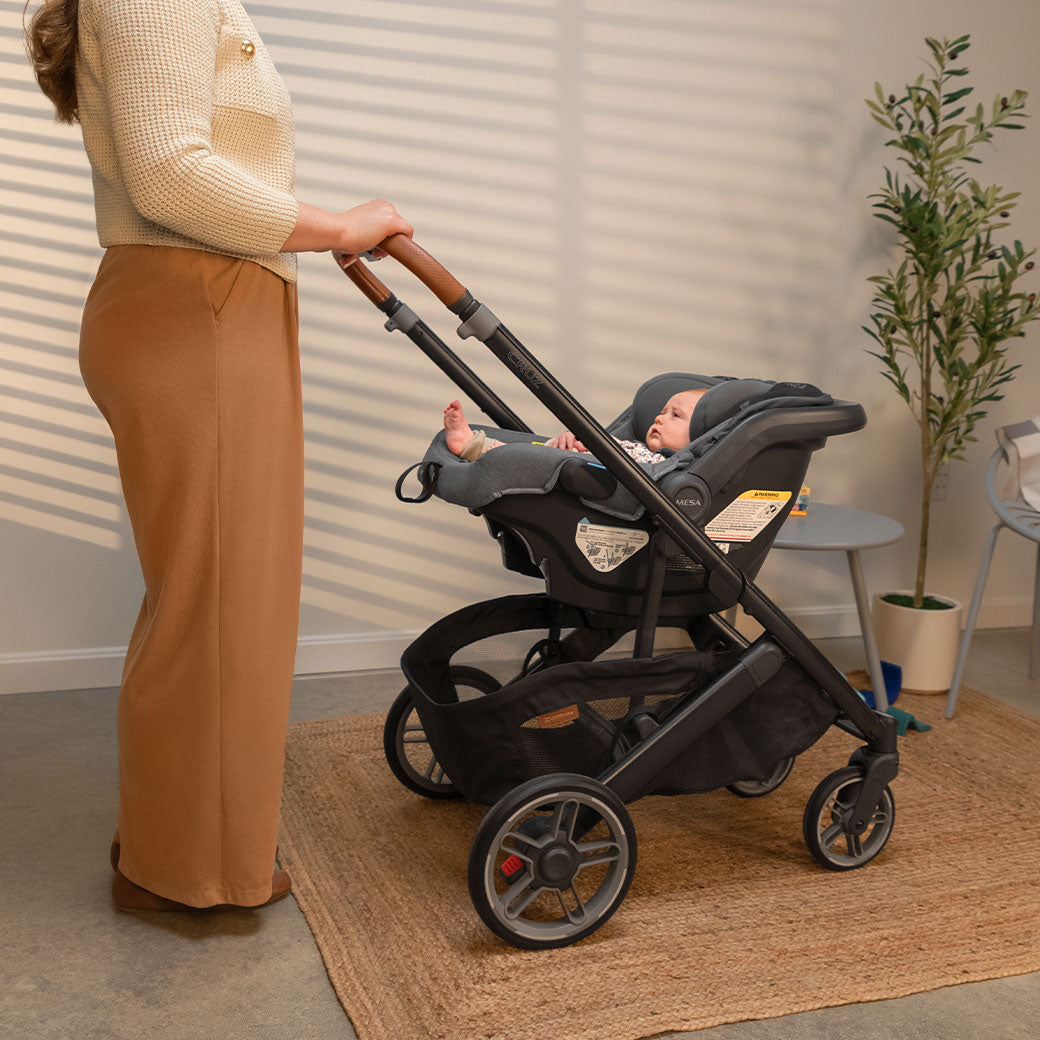 Cruz V3 Stroller