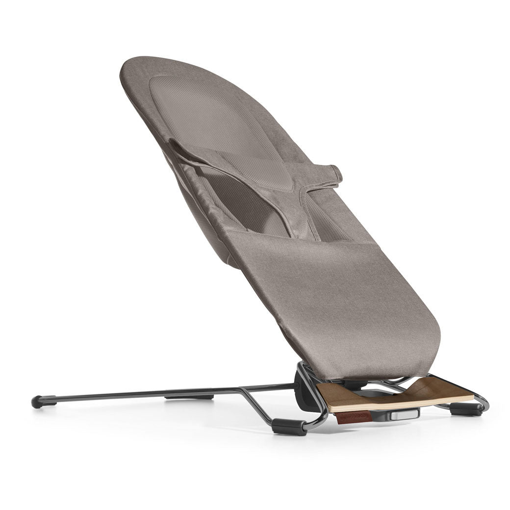 Mira 2-in-1 Bouncer & Seat