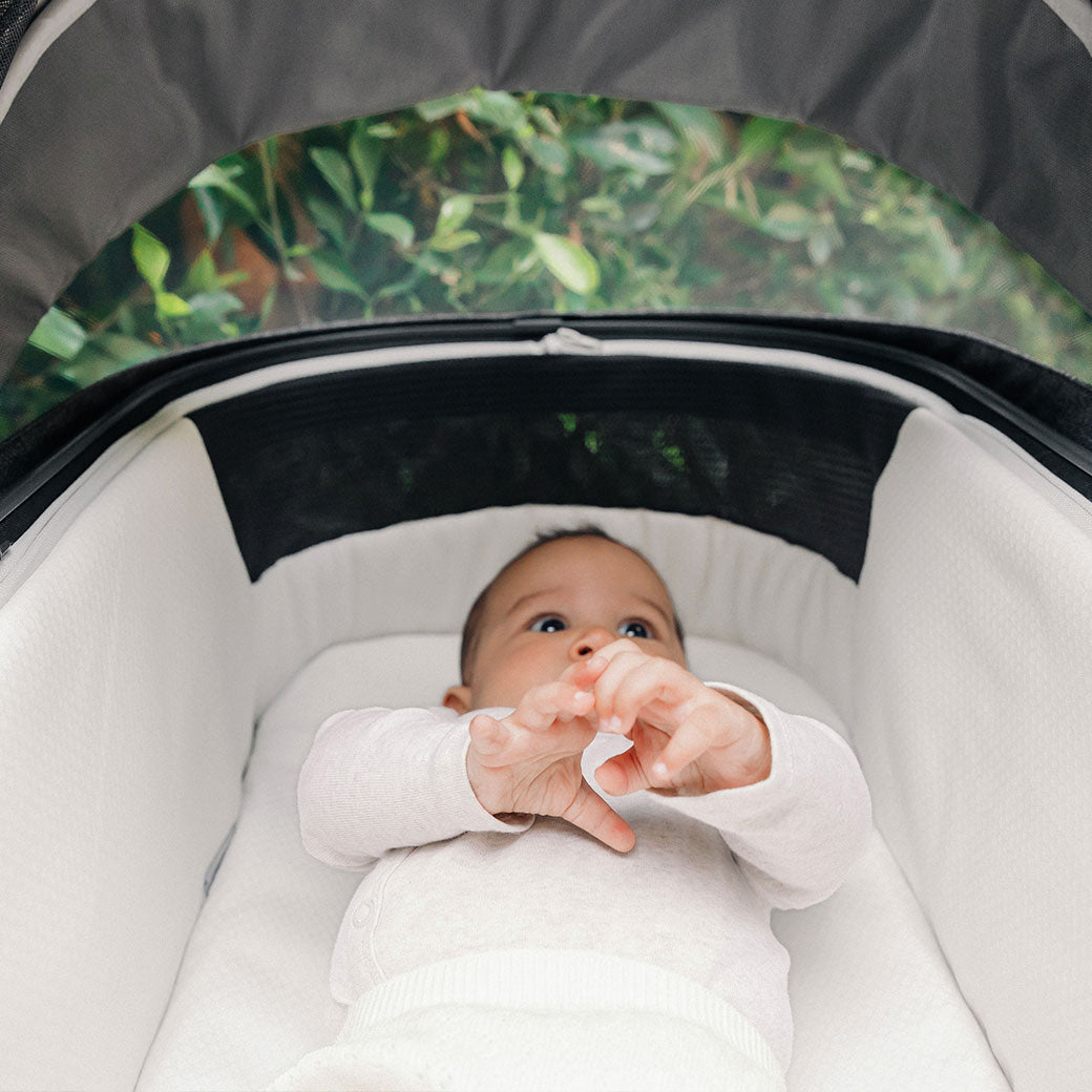 Vista V3 Stroller + PiggyBack Bundle