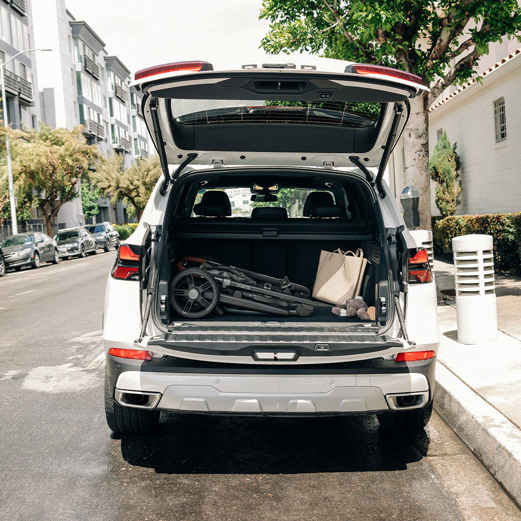 Vista V3 Stroller + PiggyBack Bundle