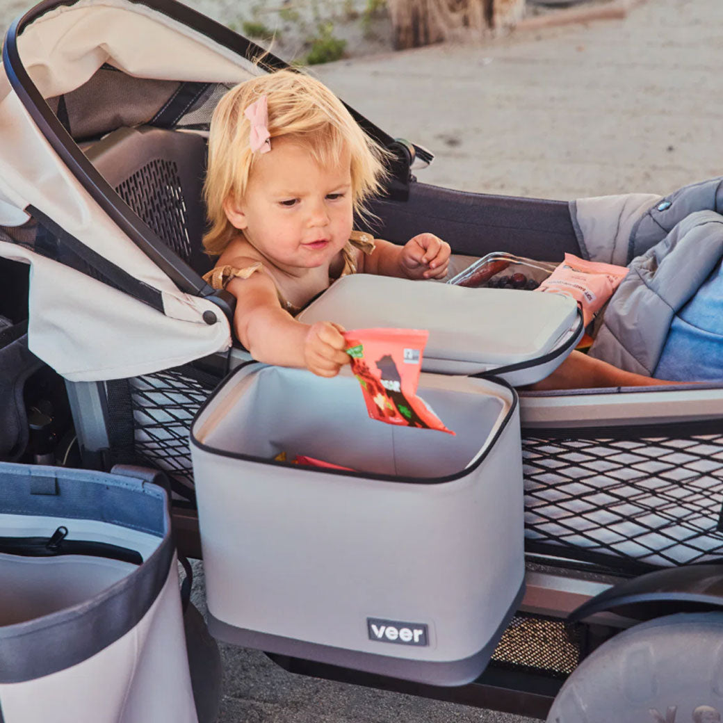 Lunch Cooler for Cruisers