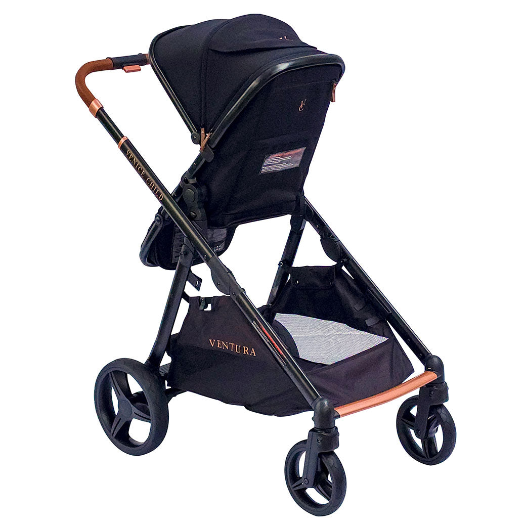 Ventura Single to Double Sit-and-Stand Stroller
