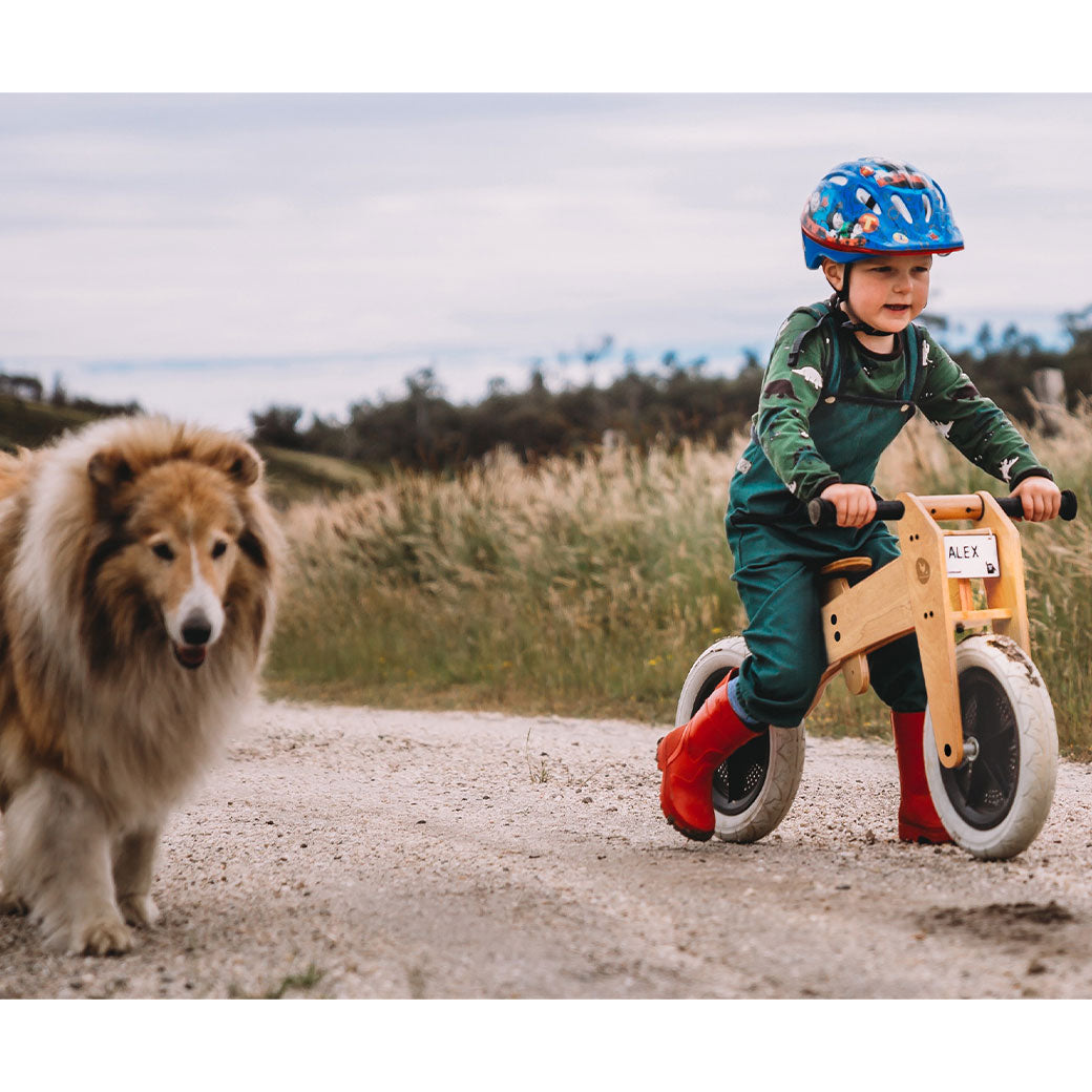 Toddler on Wishbone 2-in-1 Bike next to dog  in -- Color_Natural