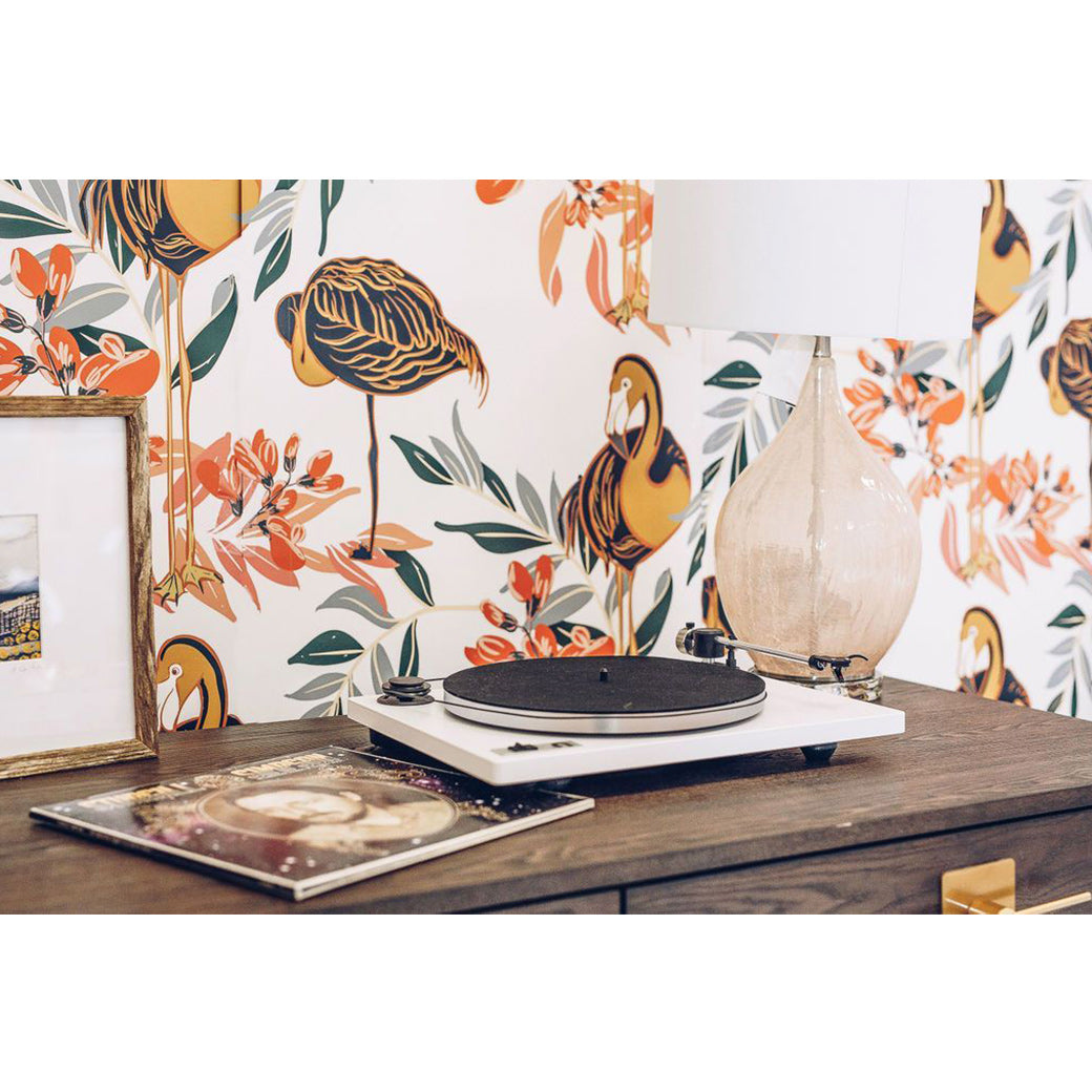 Pink Lady Flamingo Wallpaper