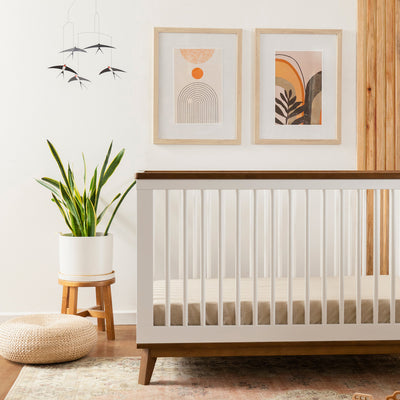 Babyletto's Scoot 3-in-1 Convertible Crib  next to a plant in -- Color_White/Natural Walnut