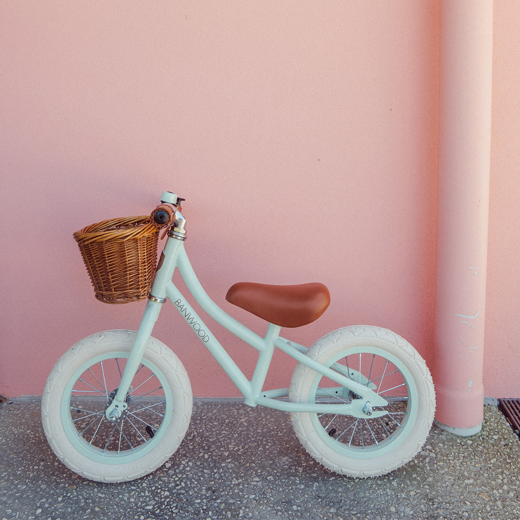 First Go Balance Bike