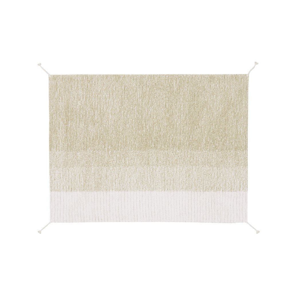 Reversible Washable Rug