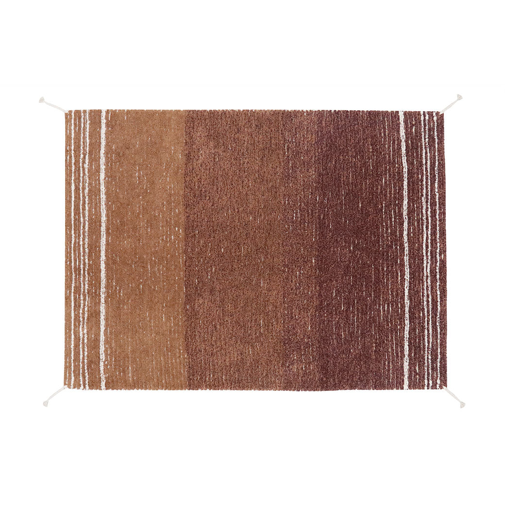 Twin Reversible Washable Rug