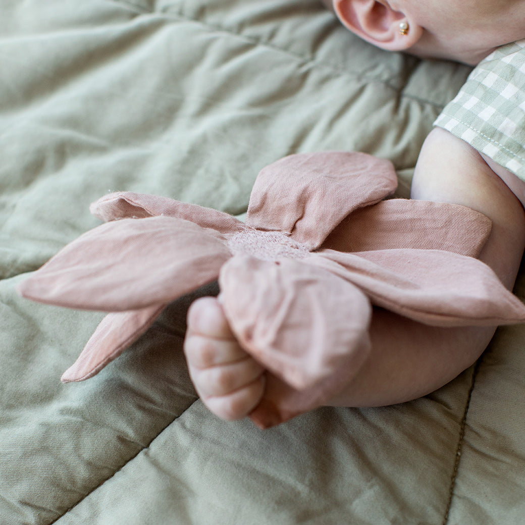 Lily Pond Crinkle & Rattle Baby Toy Set