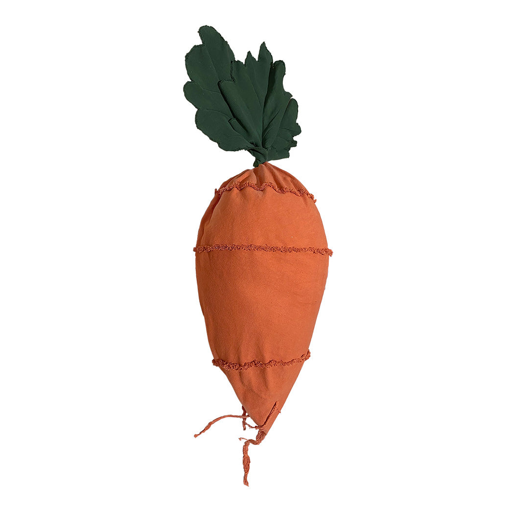 Cathy The Carrot Bean Bag