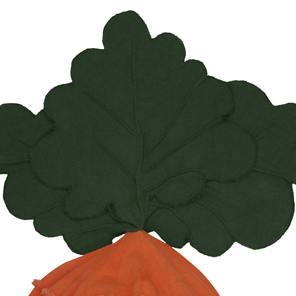 Cathy The Carrot Bean Bag