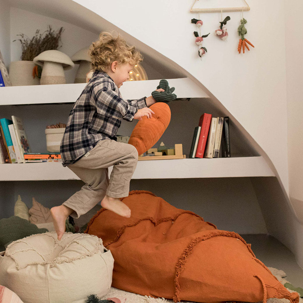 Cathy The Carrot Bean Bag