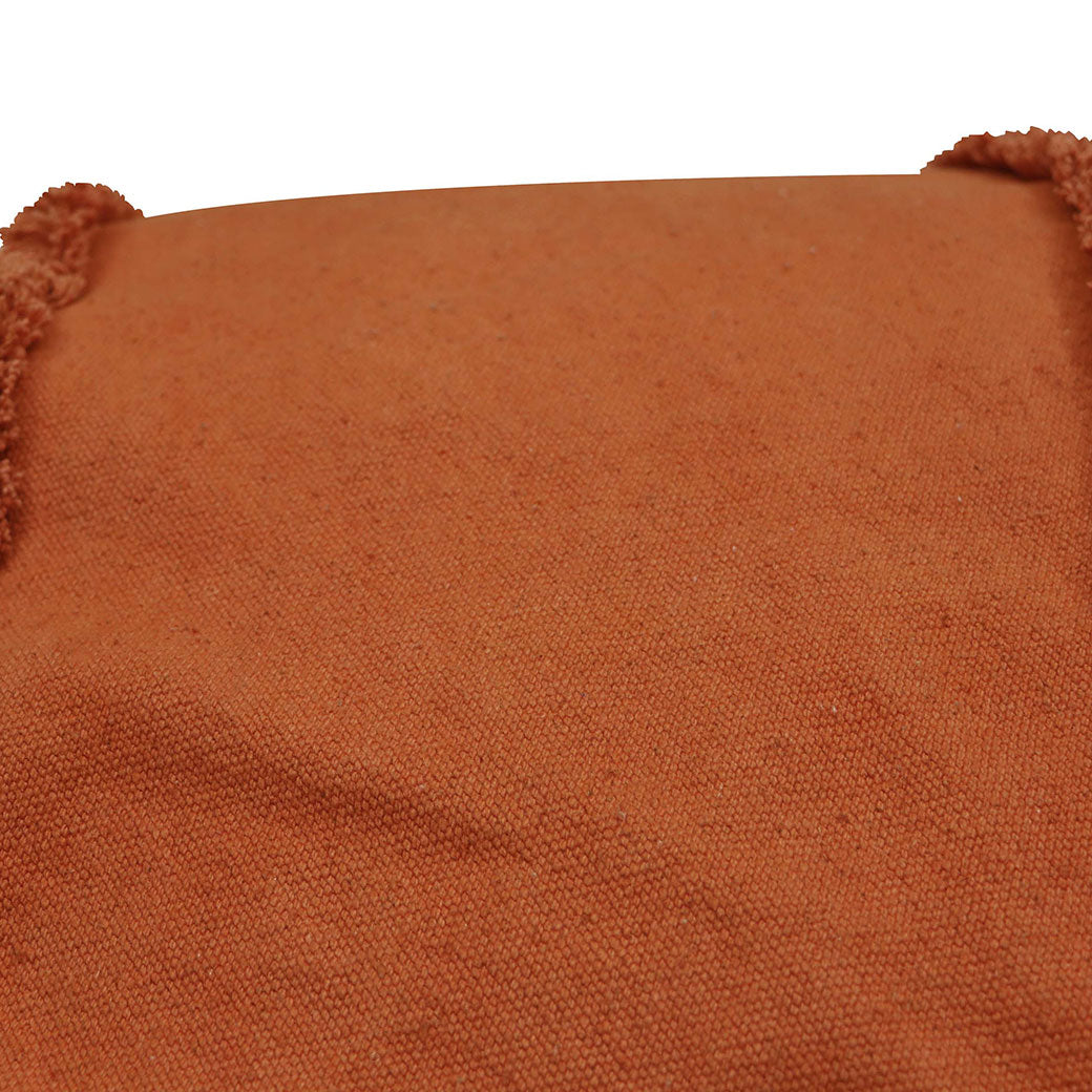 Cathy The Carrot Bean Bag