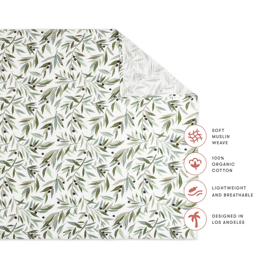 Babyletto-Swaddle-In-GOTS-Certified-Organic-Muslin-Cotton--Color_Olive Branches