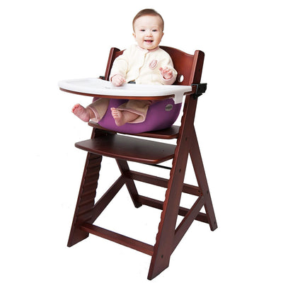High Chair + Infant Insert