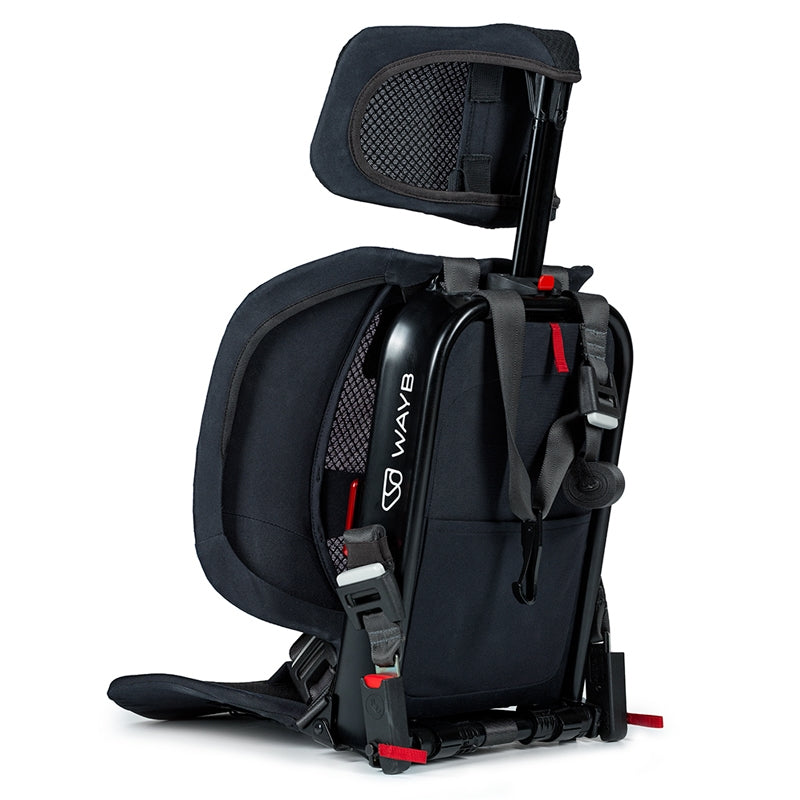 Back view of WAYB Pico Car Seat in -- Color_Jet