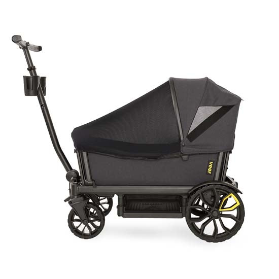 Bug Shield (for 2-Seat Cruisers)